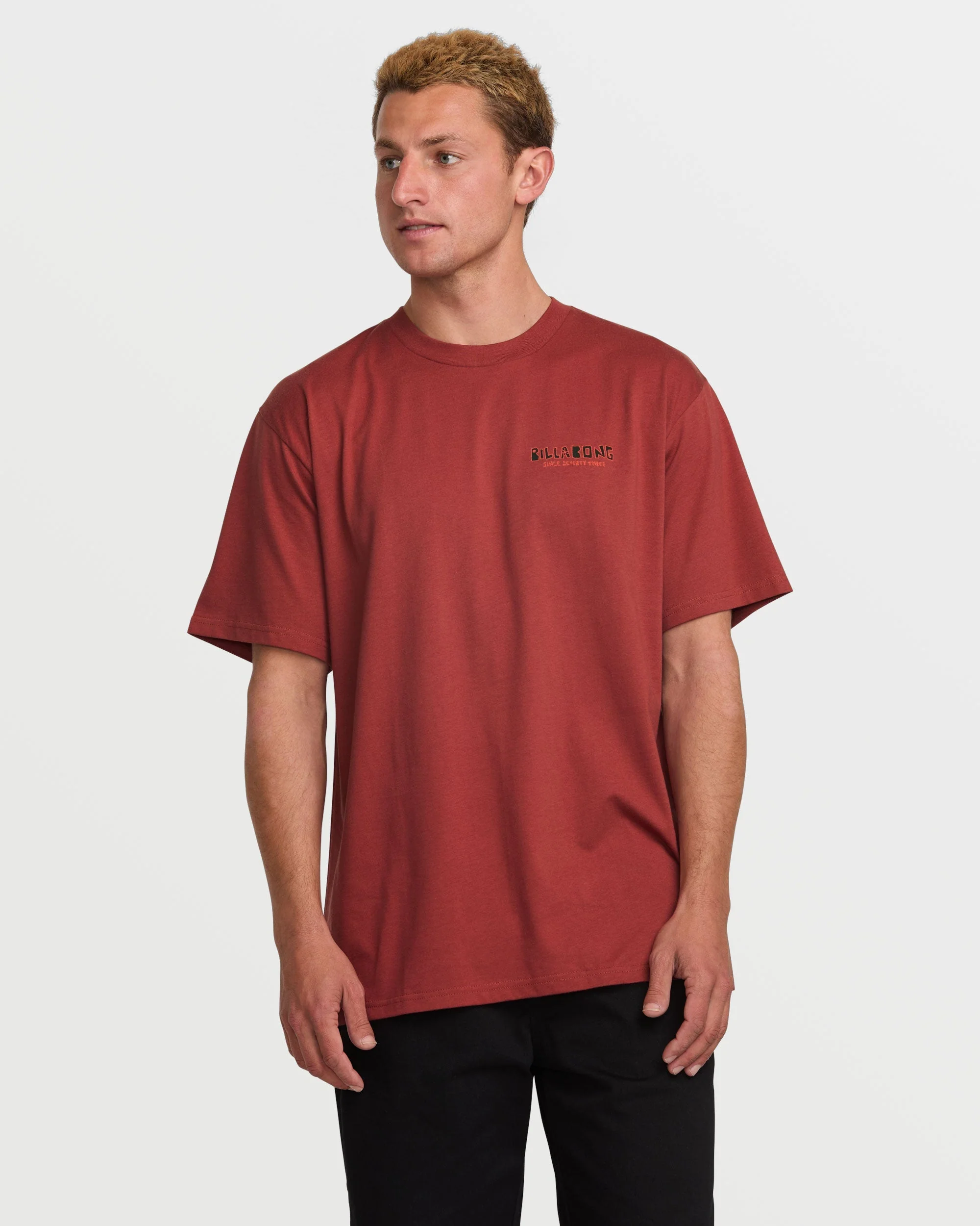 Twin Peaks Regular Short Sleeve Tee - Dusty Red - Image 2