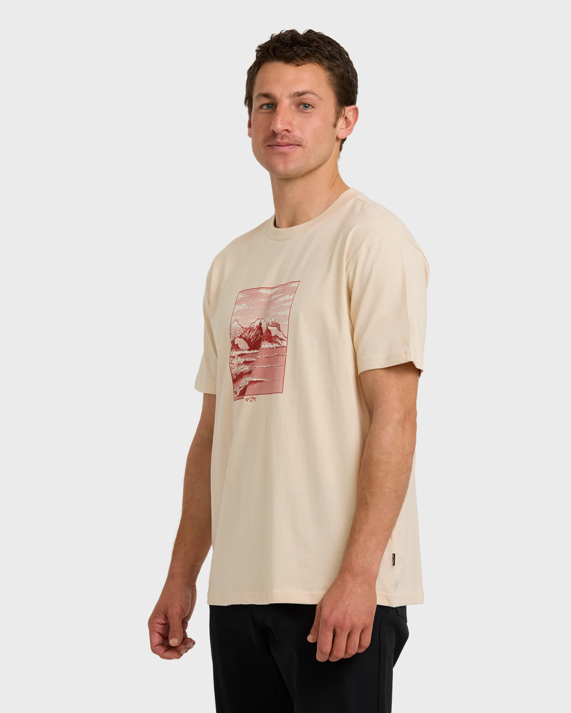 A/Div Up The Point Short Sleeve T-Shirt - Chino - Image 4